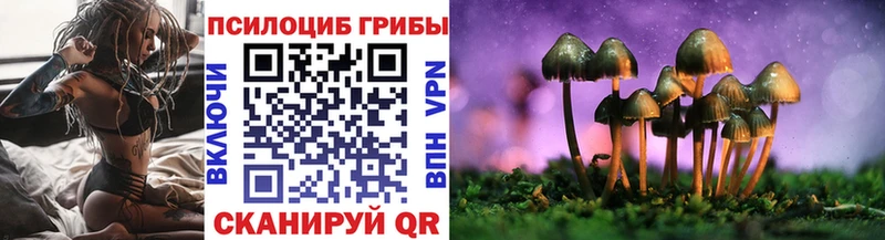 Псилоцибиновые грибы GOLDEN TEACHER  Волжск 